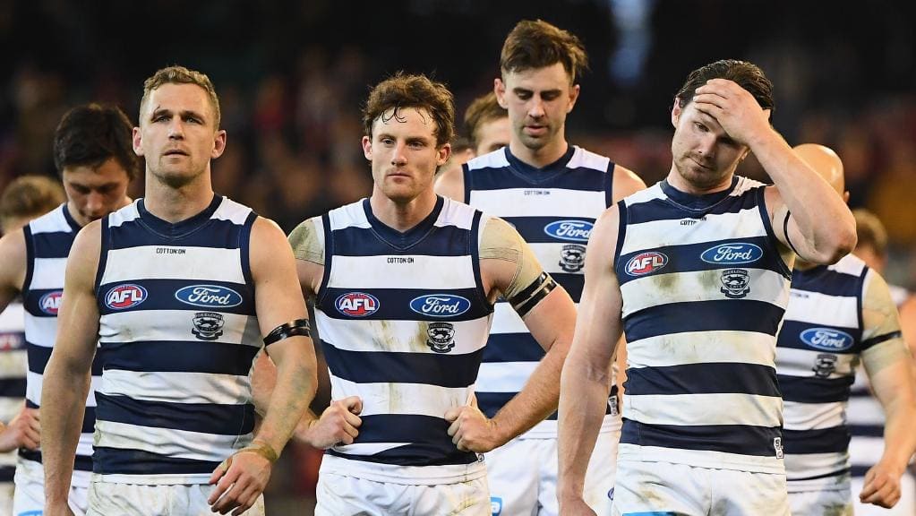 Cats lose to Melbourne Geelong Advertiser